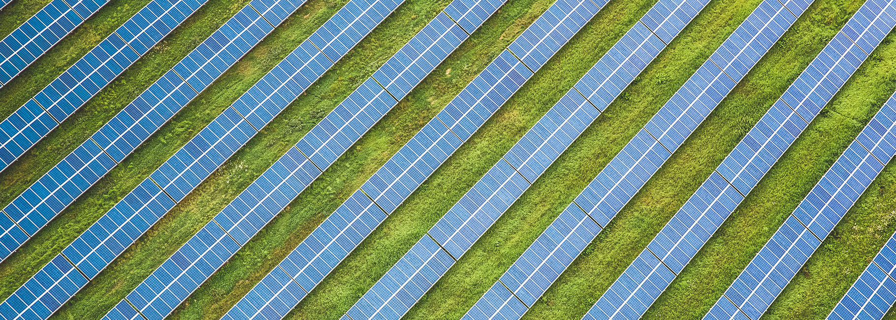 Développement durable